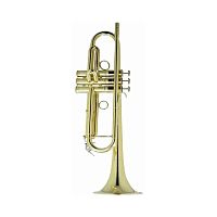 Carol Brass CTR-5000L-YST-Bb-L