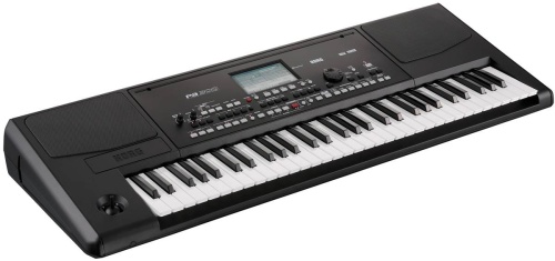 KORG Pa300 фото 2